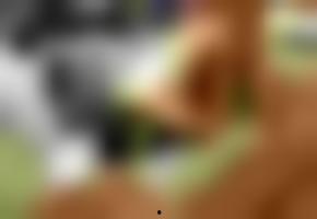 国产视频欧美,欧美市场刮起中国风