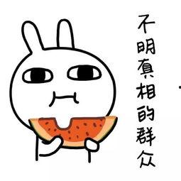 娱乐吃瓜群名称搞笑,揭秘娱乐吃瓜群里的欢乐盛宴