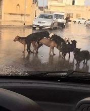 国产原创区,匠心独运——探索中国原创文化魅力